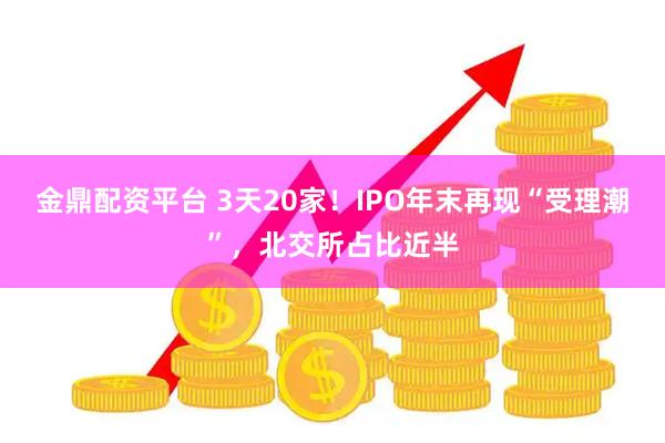 金鼎配资平台 3天20家！IPO年末再现“受理潮”，北交所占比近半