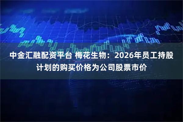 中金汇融配资平台 梅花生物：2026年员工持股计划的购买价格为公司股票市价