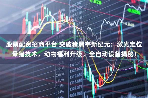 股票配资招商平台 突破猪屠宰新纪元：激光定位晕猪技术，动物福利升级，全自动设备揭秘！