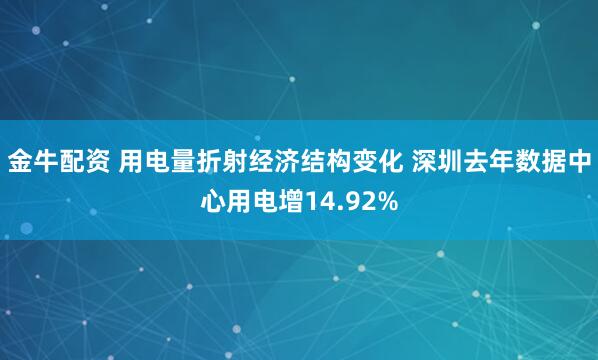金牛配资 用电量折射经济结构变化 深圳去年数据中心用电增14.92%