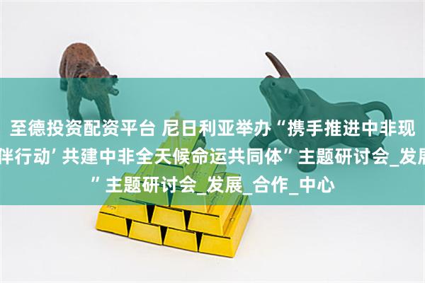 至德投资配资平台 尼日利亚举办“携手推进中非现代化‘十大伙伴行动’ 共建中非全天候命运共同体”主题研讨会_发展_合作_中心