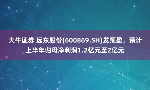 大牛证券 远东股份(600869.SH)发预盈，预计上半年归母净利润1.2亿元至2亿元
