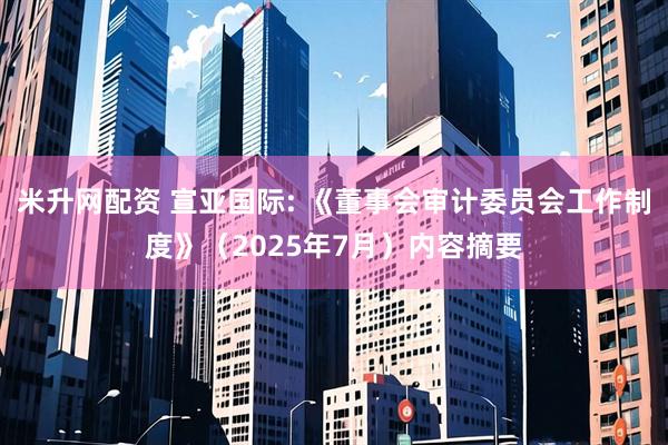 米升网配资 宣亚国际: 《董事会审计委员会工作制度》（2025年7月）内容摘要