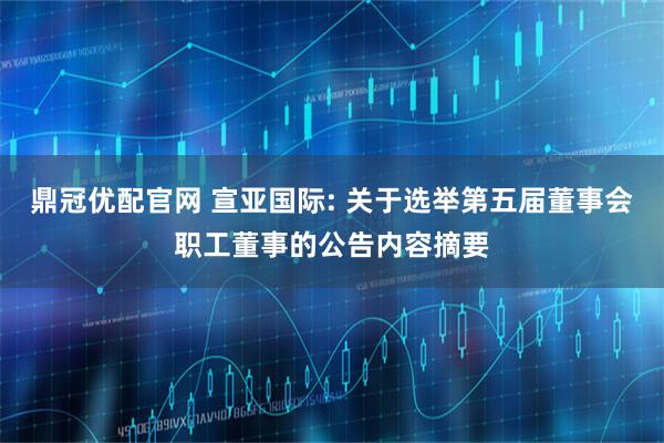 鼎冠优配官网 宣亚国际: 关于选举第五届董事会职工董事的公告内容摘要